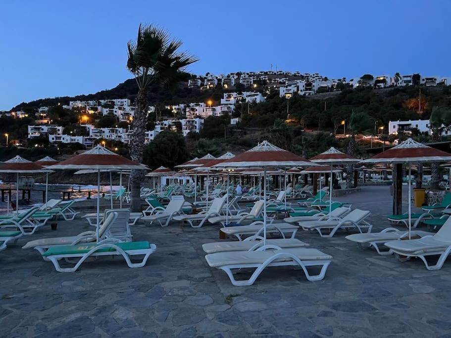 The Aegean Nest *
