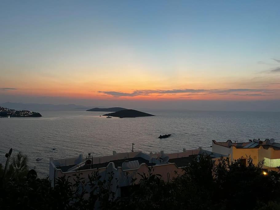 Villa The Aegean Nest