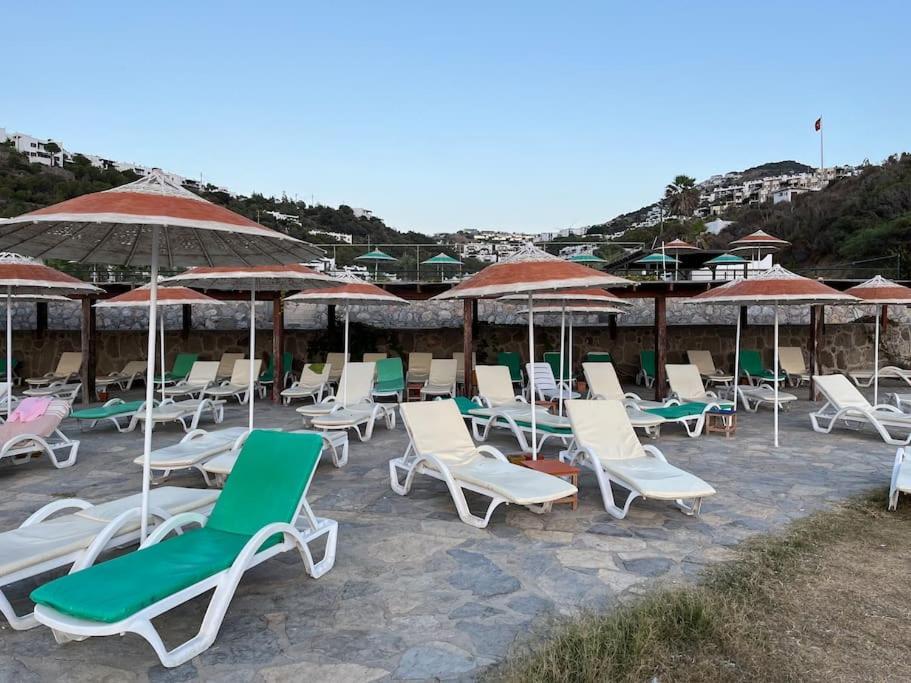 The Aegean Nest * Bodrum