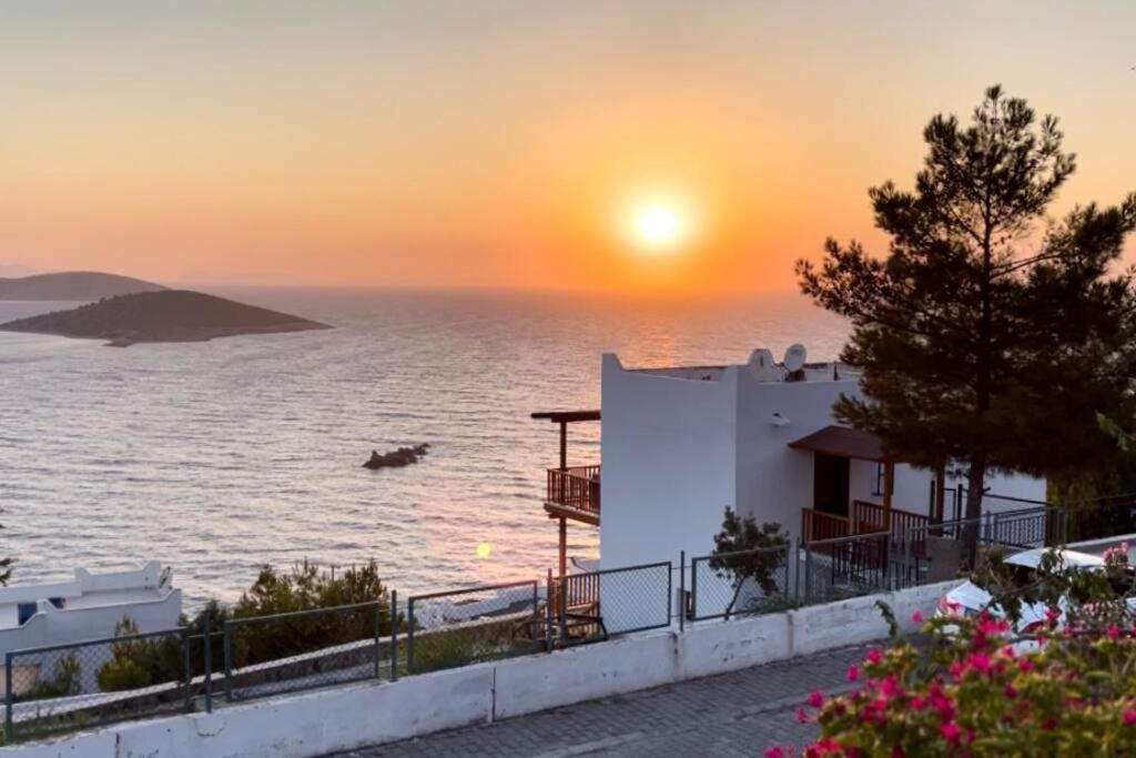 The Aegean Nest *